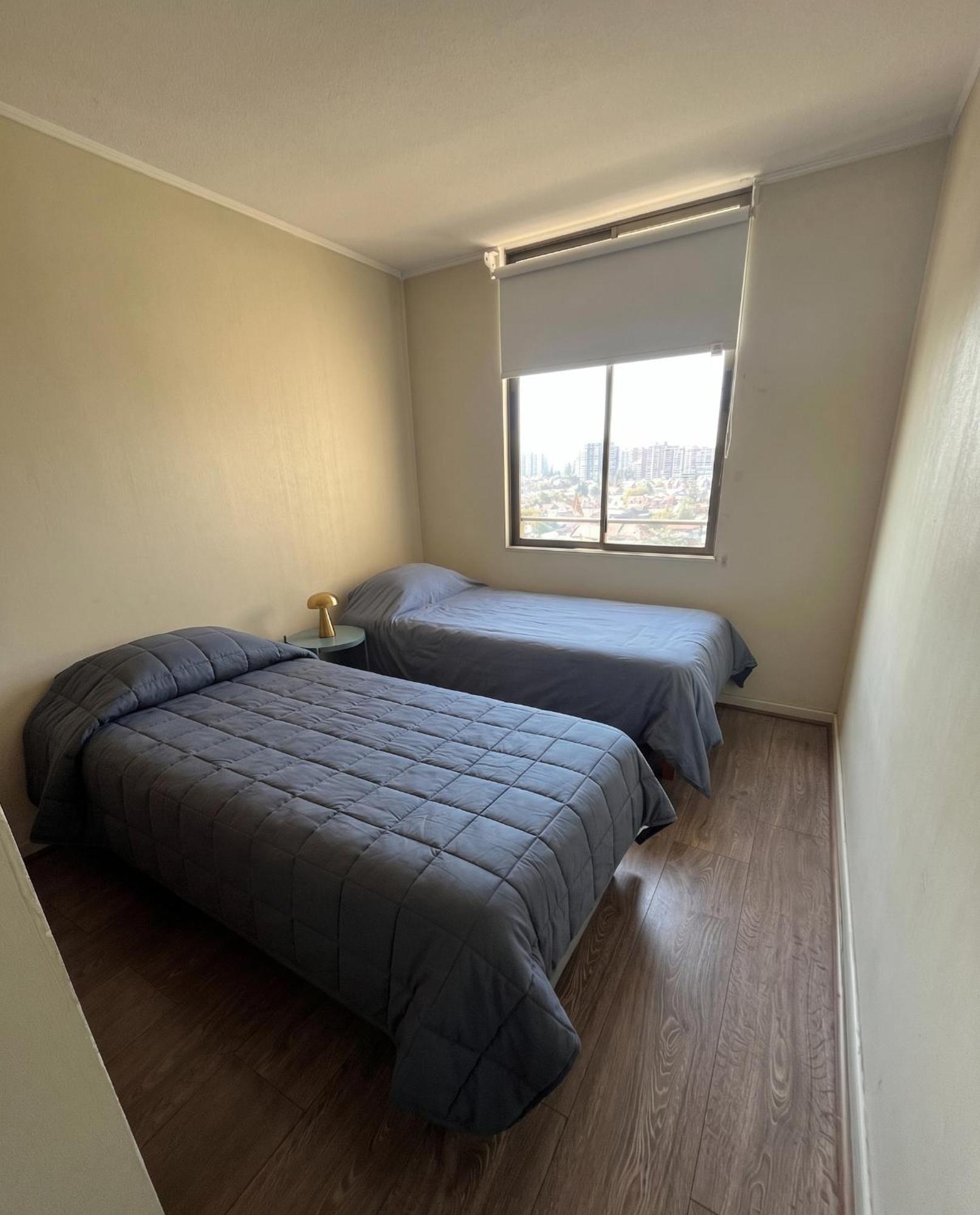 Depto Calido Con Estilo Y Excelente Ubicacion Apartment - Santiago, Santiago